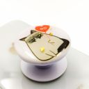 Тримач PopSocket Sad Cat glitter